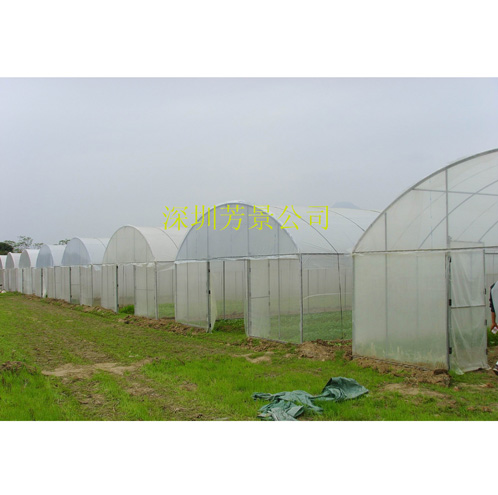 簡(jiǎn)易大棚